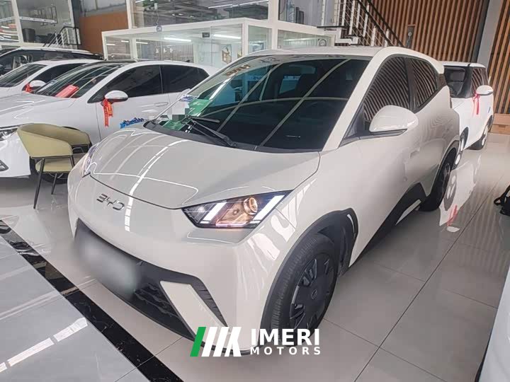 BYD Seagull Glory Edition 305km Vitality Version - ავტომობილი ჩინეთიდან