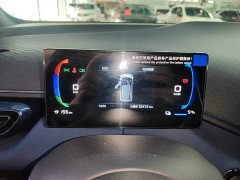 BYD Seagull Glory Edition 305km Vitality Version - ფოტო 12
