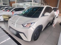 BYD Seagull Glory Edition 305km Vitality Version - ფოტო 2