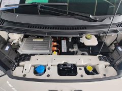 BYD Seagull Glory Edition 305km Vitality Version - ფოტო 20
