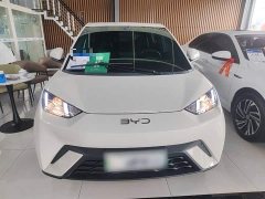 BYD Seagull Glory Edition 305km Vitality Version - ფოტო 3