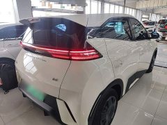 BYD Seagull Glory Edition 305km Vitality Version - ფოტო 7