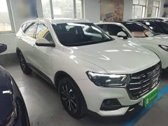 Haval H6 2021 National Trend Edition 1.5T Automatic Urban Version - ფოტო 4