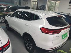 Haval H6 2021 National Trend Edition 1.5T Automatic Urban Version - ფოტო 5