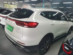 Haval H6 2021 National Trend Edition 1.5T Automatic Urban Version - ფოტო 7