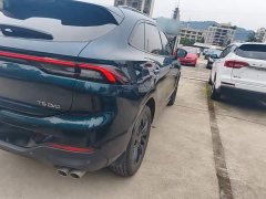 Dongfeng Fenxing T5 EVO 2021 1.5T DCT Diamond Edition - ფოტო 8