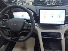 BYD Song Plus New Energy DM-i 71km Luxury - ფოტო 10