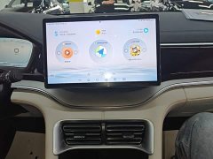BYD Song Plus New Energy DM-i 71km Luxury - ფოტო 13