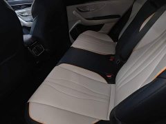 BYD Song Plus New Energy DM-i 71km Luxury - ფოტო 17
