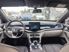 BYD Qin Plus 2021 DM-i 55KM Flagship - ფოტო 10