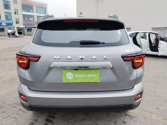 Haval Big Dog PLUS 2023 1.5T Two-Wheel Drive Trendy Wilderness Edition Plus - ფოტო 6
