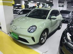 ORA Good Cat 430km Luxury - ფოტო 1