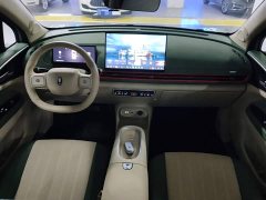ORA Good Cat 430km Luxury - ფოტო 10