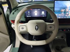 ORA Good Cat 430km Luxury - ფოტო 11