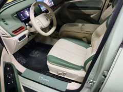 ORA Good Cat 430km Luxury - ფოტო 15