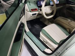 ORA Good Cat 430km Luxury - ფოტო 16