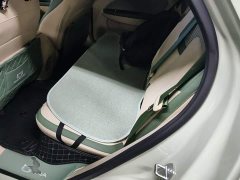 ORA Good Cat 430km Luxury - ფოტო 17