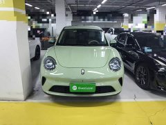 ORA Good Cat 430km Luxury - ფოტო 3