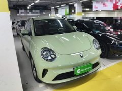 ORA Good Cat 430km Luxury - ფოტო 4