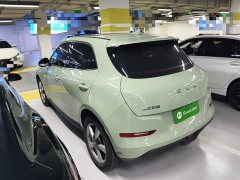 ORA Good Cat 430km Luxury - ფოტო 5