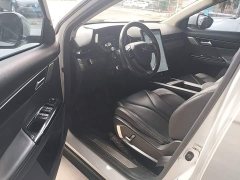 XPeng G3 460C Deluxe Edition - ფოტო 16