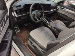Volkswagen Lanxun 380TSI AWD R-Line Cruise Edition - ფოტო 16