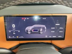 Great Wall WEY Blue Mountain Four-Wheel Drive Max - ფოტო 12