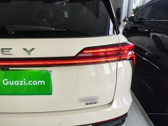 Great Wall WEY Blue Mountain Four-Wheel Drive Max - ფოტო 8