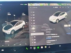 Tesla Model Y Facelift Rear-Wheel Drive - ფოტო 12