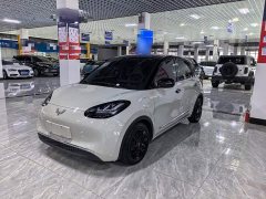 Wuling Binguo 333km Joy Edition - ფოტო 1