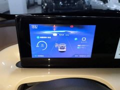 Wuling Binguo 333km Joy Edition - ფოტო 12