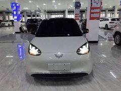 Wuling Binguo 333km Joy Edition - ფოტო 3
