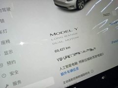 Tesla Model Y Long Range All-Wheel Drive - ფოტო 12