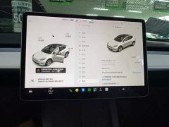 Tesla Model Y Long Range All-Wheel Drive - ფოტო 13