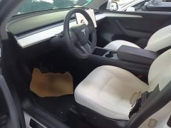 Tesla Model Y Long Range All-Wheel Drive - ფოტო 16