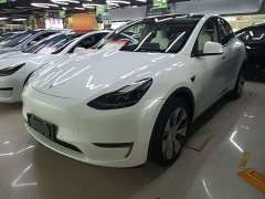 Tesla Model Y Long Range All-Wheel Drive - ფოტო 2