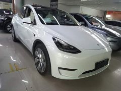 Tesla Model Y Long Range All-Wheel Drive - ფოტო 4