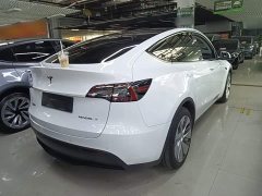 Tesla Model Y Long Range All-Wheel Drive - ფოტო 7