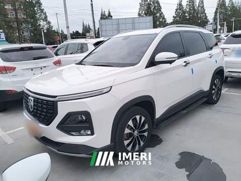 2022 Baojun 530 Global Edition Anniversary Edition 1.5T Manual Deluxe 6-seater