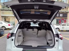 Wuling Starlight S 2024 130km Flagship - ფოტო 9