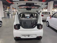 Geely Panda 2025 Panda Mini 210km Vitality Edition - ფოტო 19