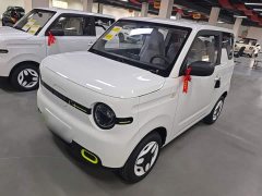 Geely Panda 2025 Panda Mini 210km Vitality Edition - ფოტო 2