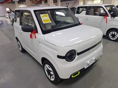 Geely Panda 2025 Panda Mini 210km Vitality Edition - ფოტო 4