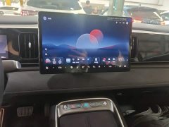 BYD Haima Seagull 05 EV 520KM Smart Navigation Edition - ფოტო 13