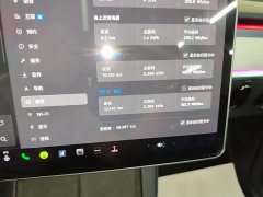 Tesla Model Y Rear-Wheel Drive - ფოტო 12