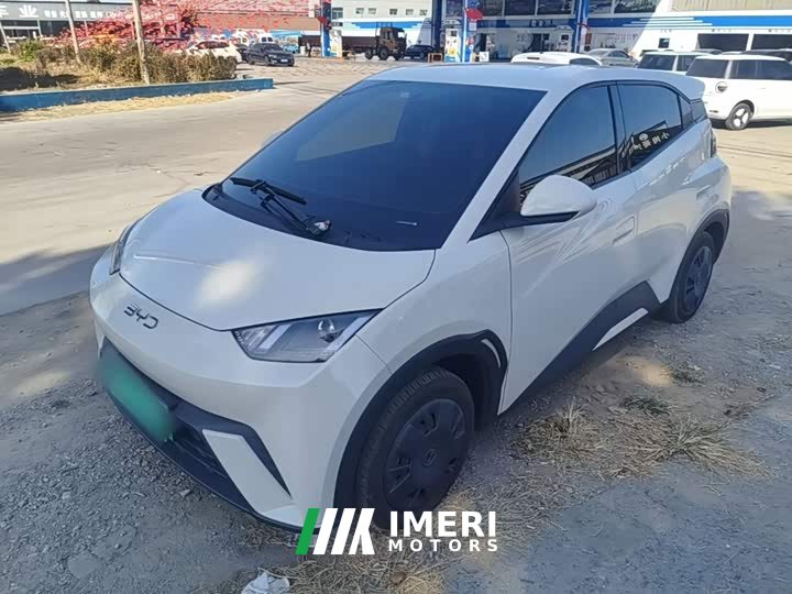 BYD Seagull Glory Edition 305km Vitality Version - ავტომობილი ჩინეთიდან