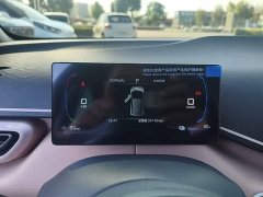 BYD Seagull Glory Edition 305km Vitality Version - ფოტო 12
