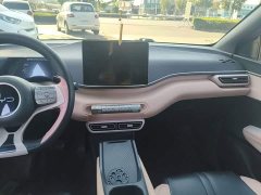 BYD Seagull Glory Edition 305km Vitality Version - ფოტო 13