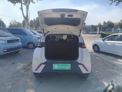 BYD Seagull Glory Edition 305km Vitality Version - ფოტო 19