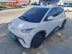 BYD Seagull Glory Edition 305km Vitality Version - ფოტო 2